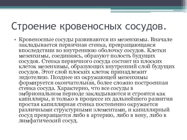 Строение кровеносных сосудов. Кровеносные сосуды развиваются из мезенхимы. Вначале закладывается