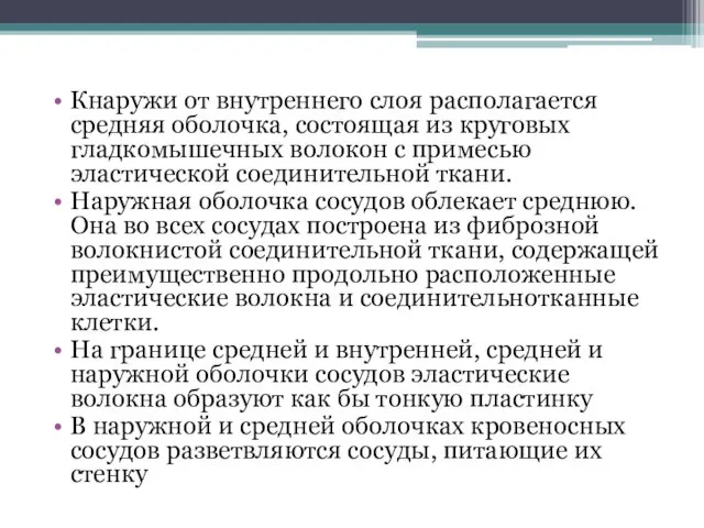 Кнаружи от внутреннего слоя располагается средняя оболочка, состоящая из круговых