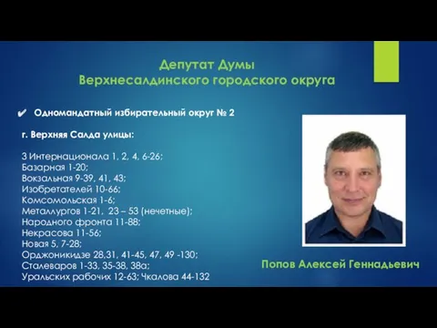 Депутат Думы Верхнесалдинского городского округа Одномандатный избирательный округ № 2