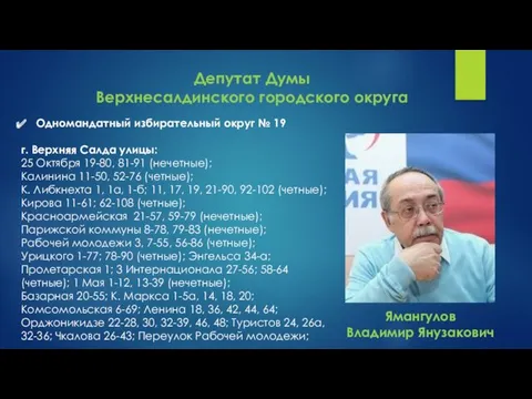 Депутат Думы Верхнесалдинского городского округа Одномандатный избирательный округ № 19