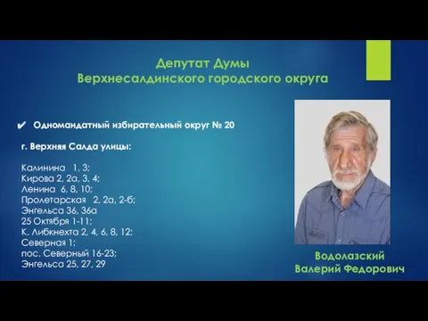 Депутат Думы Верхнесалдинского городского округа Одномандатный избирательный округ № 20