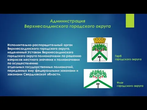 Исполнительно-распорядительный орган Верхнесалдинского городского округа, наделенный Уставом Верхнесалдинского городского округа