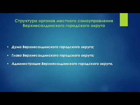 Структура органов местного самоуправления Верхнесалдинского городского округа Дума Верхнесалдинского городского