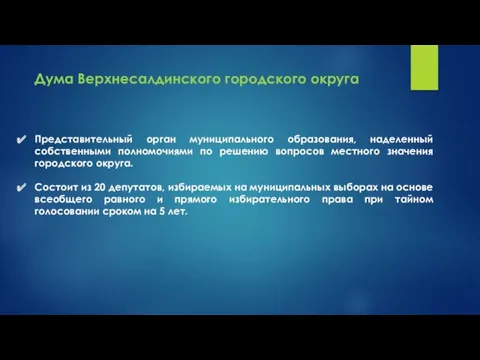 Представительный орган муниципального образования, наделенный собственными полномочиями по решению вопросов