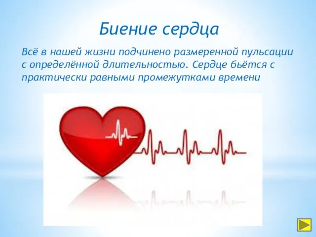 Биение сердца Всё в нашей жизни подчинено размеренной пульсации с определённой длительностью. Сердце
