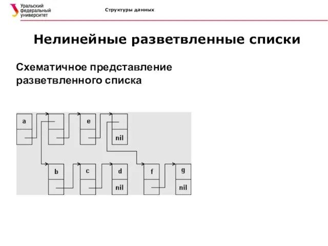 Структуры данных Нелинейные разветвленные списки Схематичное представление разветвленного списка