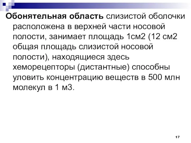 Обонятельная область слизистой оболочки расположена в верхней части носовой полости,