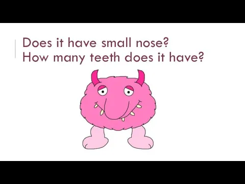 Does it have small nose? How many teeth does it have?