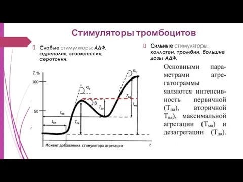 Стимуляторы тромбоцитов Слабые стимуляторы: АДФ, адреналин, вазопрессин, серотонин. Сильные стимуляторы: коллаген, тромбин, большие дозы АДФ.