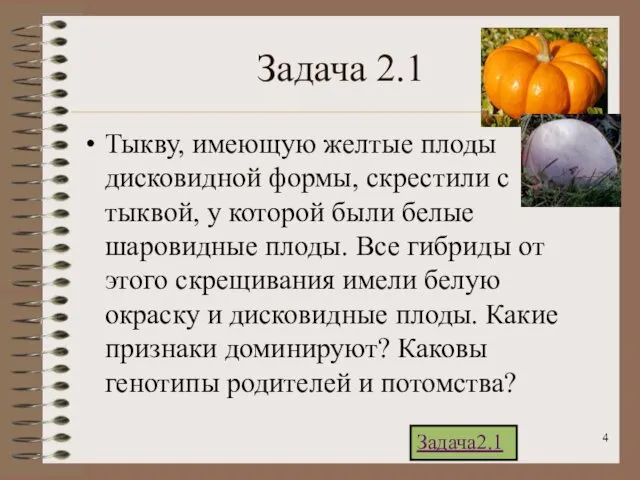 Задача 2.1 Тыкву, имеющую желтые плоды дисковидной формы, скрестили с