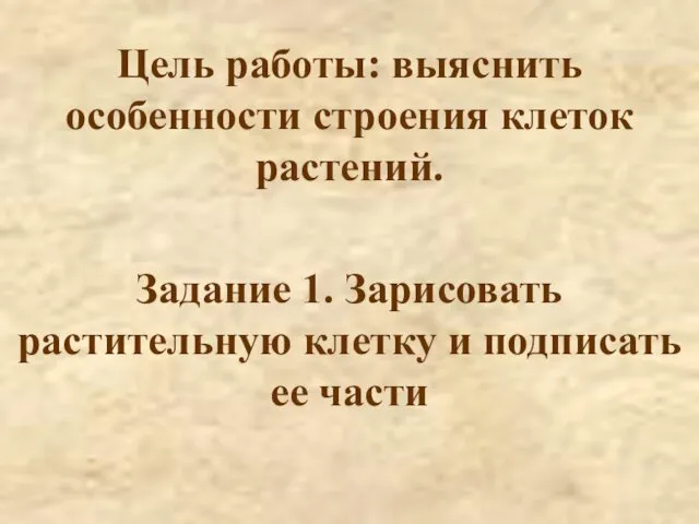 Цель работы: выяснить особенности строения клеток растений. Задание 1. Зарисовать растительную клетку и подписать ее части