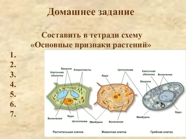 Домашнее задание Составить в тетради схему «Основные признаки растений» 1. 2. 3. 4. 5. 6. 7.