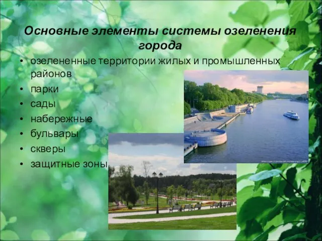 Основные элементы системы озеленения города озелененные территории жилых и промышленных
