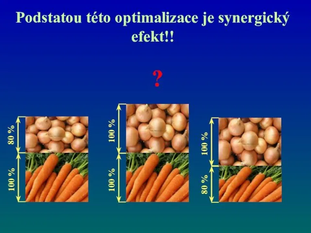 Podstatou této optimalizace je synergický efekt!! ?