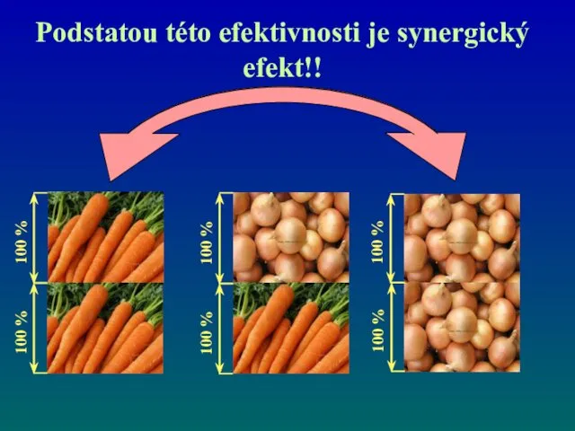 Podstatou této efektivnosti je synergický efekt!!