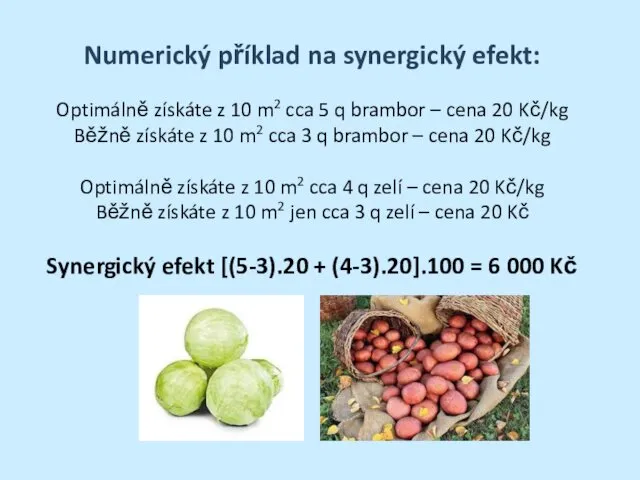 Numerický příklad na synergický efekt: Optimálně získáte z 10 m2