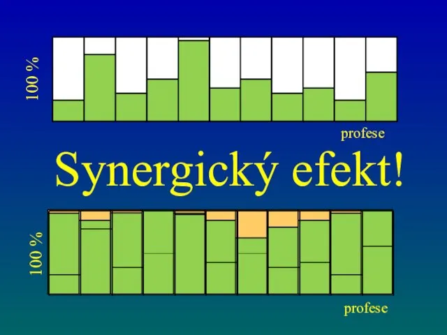 Synergický efekt! 100 % 100 % profese profese