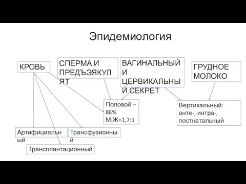 КРОВЬ СПЕРМА И ПРЕДЪЭЯКУЛЯТ ВАГИНАЛЬНЫЙ И ЦЕРВИКАЛЬНЫЙ СЕКРЕТ ГРУДНОЕ МОЛОКО