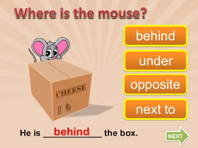 opposite behind next to under He is ____________ the box. behind NEXT