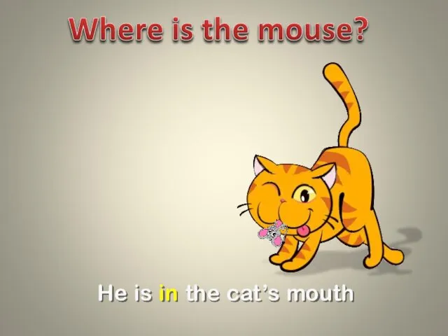 He is in the cat’s mouth