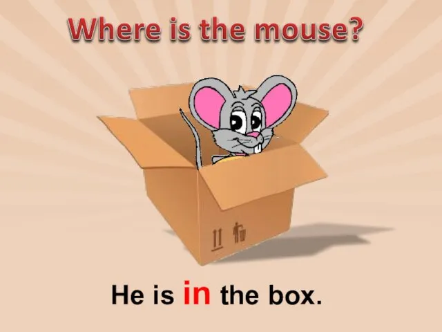 He is in the box.