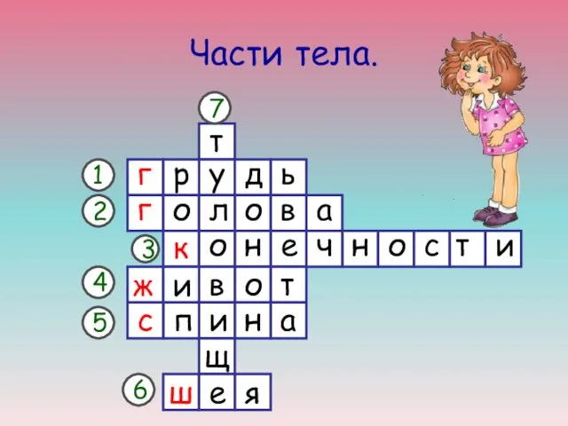 Части тела. г 1 2 3 4 5 6 г к ж с ш 7