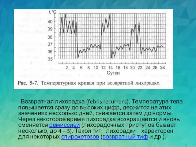 Возвратная лихорадка (febris recurrens). Температура тела повышается сразу до высоких