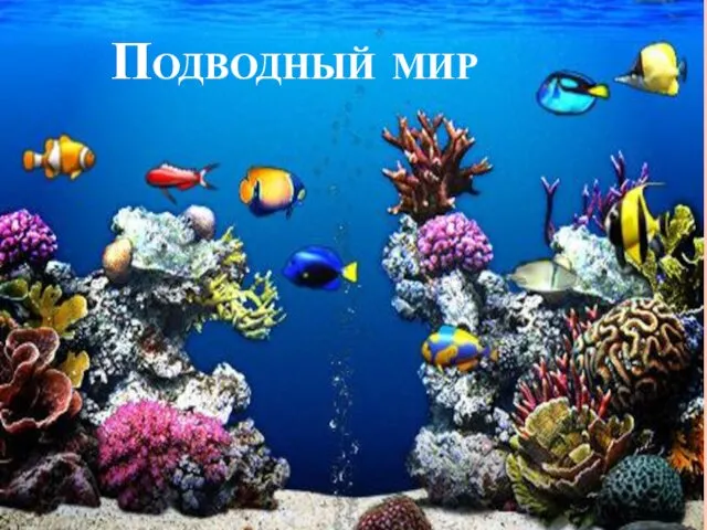 Подводный мир