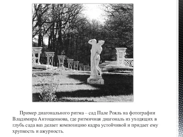 Пример диагонального ритма – сад Пале Рояль на фотографии Владимира