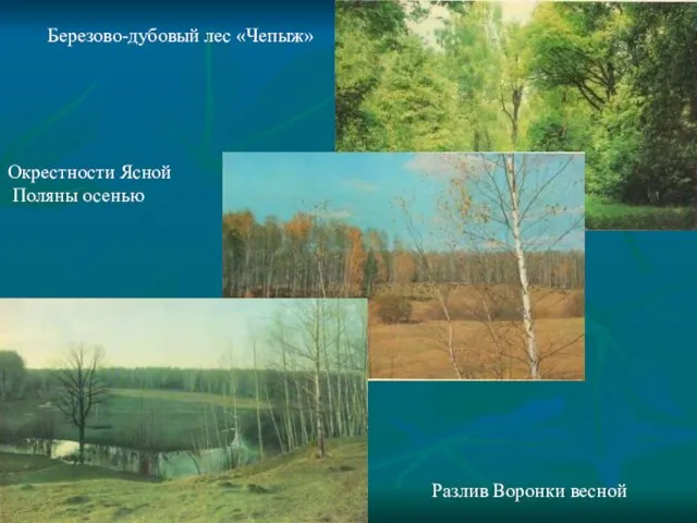 Березово-дубовый лес «Чепыж» Окрестности Ясной Поляны осенью Разлив Воронки весной