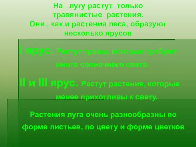 На лугу растут только травянистые растения. Они , как и