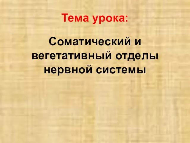 Тема урока: Соматический и вегетативный отделы нервной системы