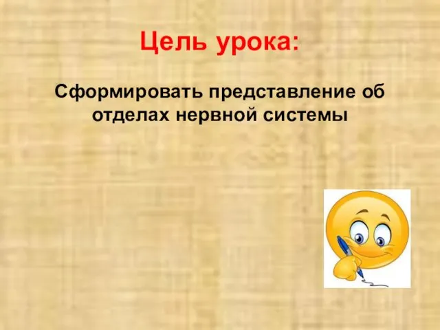 Цель урока: Сформировать представление об отделах нервной системы