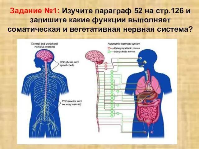 Задание №1: Изучите параграф 52 на стр.126 и запишите какие