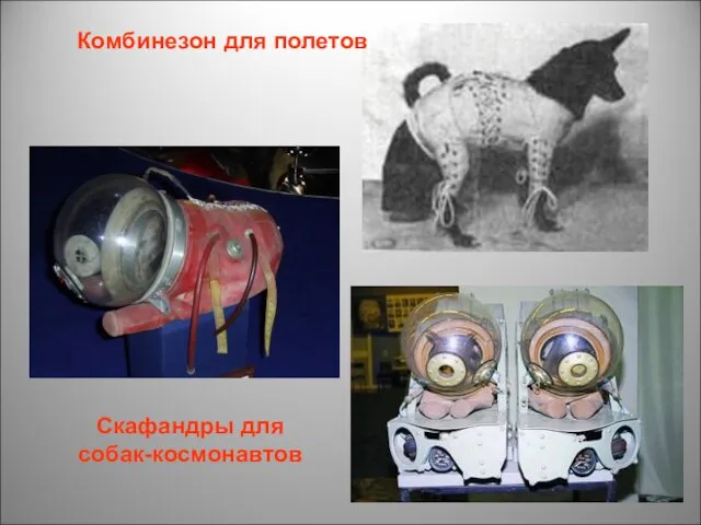 Комбинезон для полетов Скафандры для собак-космонавтов