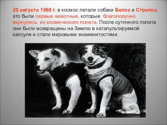 20 августа 1960 г. в космос летали собаки Белка и Стрелка, это были
