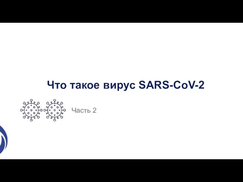 Что такое вирус SARS-CoV-2 Часть 2