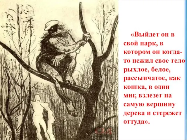 «Выйдет он в свой парк, в котором он когда-то нежил