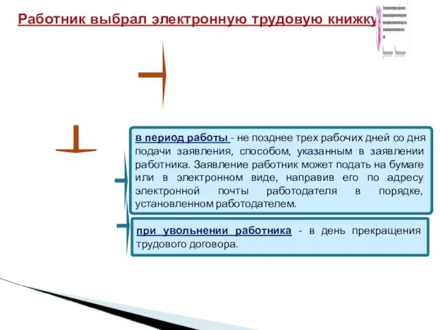 Работник выбрал электронную трудовую книжку: в период работы - не позднее трех рабочих