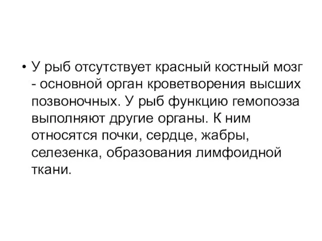 У рыб отсутствует красный костный мозг - основной орган кроветворения