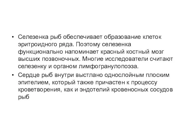 Селезенка рыб обеспечивает образование клеток эритроидного ряда. Поэтому селезенка функционально