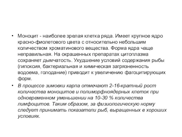 Моноцит - наиболее зрелая клетка ряда. Имеет крупное ядро красно-фиолетового