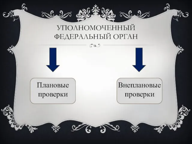 УПОЛНОМОЧЕННЫЙ ФЕДЕРАЛЬНЫЙ ОРГАН Плановые проверки Внеплановые проверки