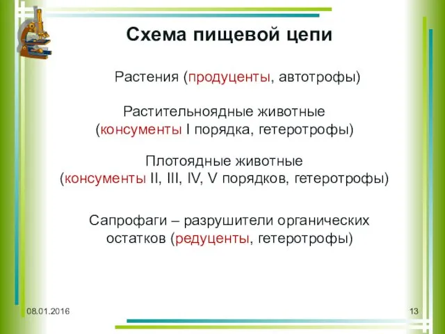 08.01.2016 Схема пищевой цепи Растения (продуценты, автотрофы) Растительноядные животные (консументы