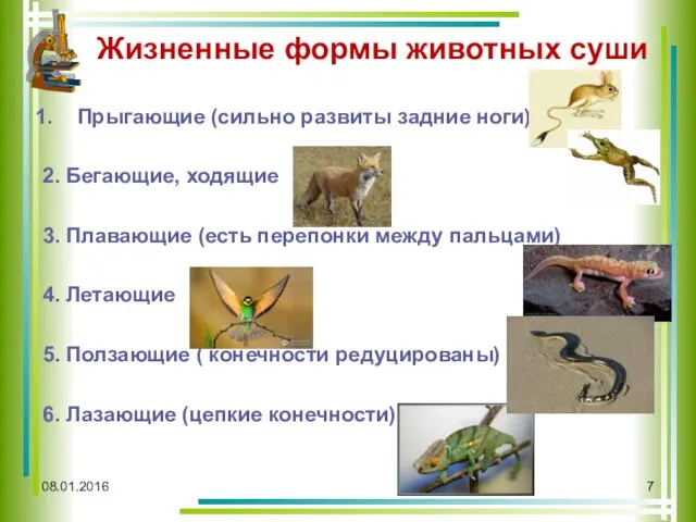 08.01.2016 Жизненные формы животных суши Прыгающие (сильно развиты задние ноги)