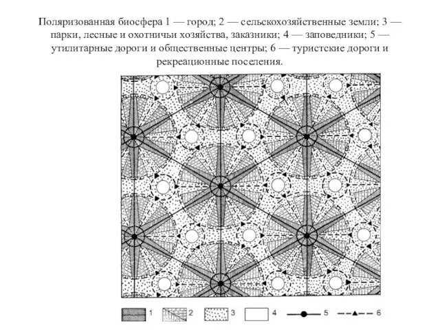 Поляризованная биосфера 1 — город; 2 — сельскохозяйственные земли; 3