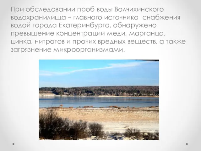 При обследовании проб воды Волчихинского водохранилища – главного источника снабжения