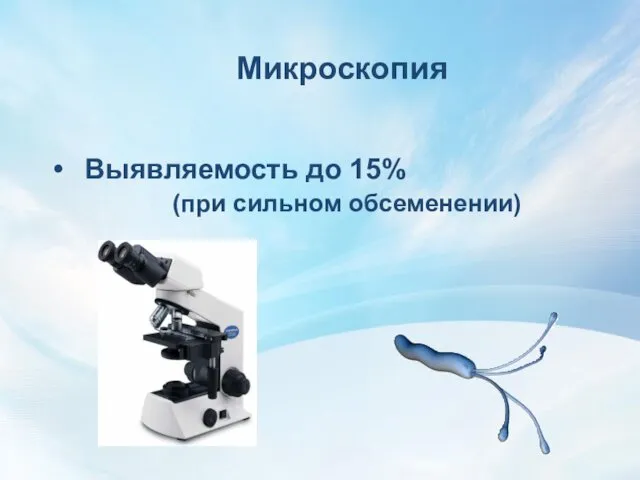 Микроскопия Выявляемость до 15% (при сильном обсеменении)