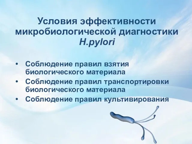 Условия эффективности микробиологической диагностики H.pylori Соблюдение правил взятия биологического материала