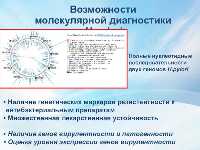 Возможности молекулярной диагностики H.pylori Полные нуклеотидные последовательности двух геномов H.pylori